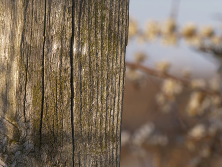 Old wooden fence post in countryside close up shotの写真素材