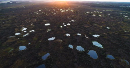 Arctic swamp at sunset in Lapland, Aerial drone view of wetlands, bog and Polar wilderness, sunny,...