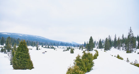 Winter landscape near Modrava in Sumava National Parkの写真素材