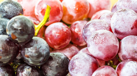 A closeup shot of fresh black and red grapes