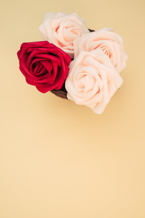 A vertical shot of red and white rose heads on a light-colored background with copyspaceの写真素材