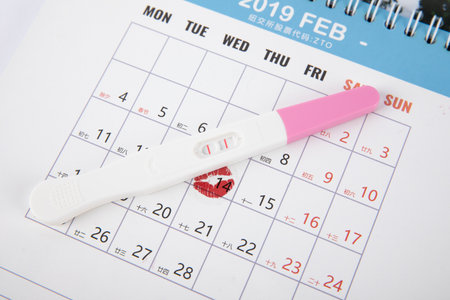 A closeup of a pregnancy test kit with positive result on a calendar with a kiss mark on the fourteenth of Februaryの写真素材
