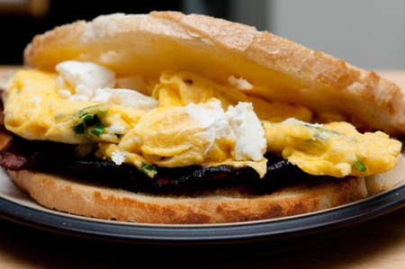 A closeup shot of an egg sandwich with cheese on a plateの写真素材