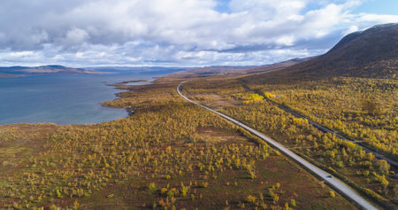 Aerial drone view of a road and the Tornetrask lake, in middle of foliage nature, sunny, fall day, in Lappland, Norrland, Swedenの写真素材