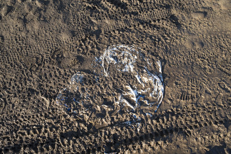 bike tracks in the muddy ground and plastic bag