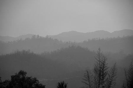 A monochrome shot of layers of tree-lined mountain ranges lost in the fogの写真素材