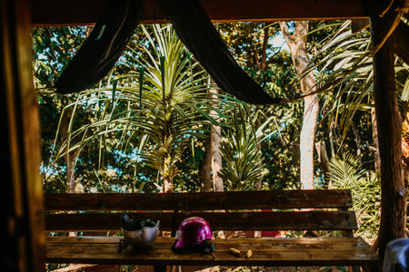 A beautiful view of a park with tropical plants and a wooden cabin on Thailand Islandの写真素材