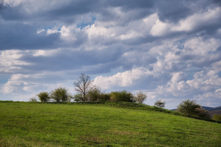 A beautiful shot of a green landscapeの写真素材