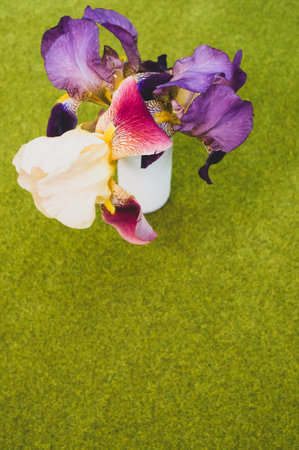 A vertical shot of iris flowers on a green backgroundの写真素材