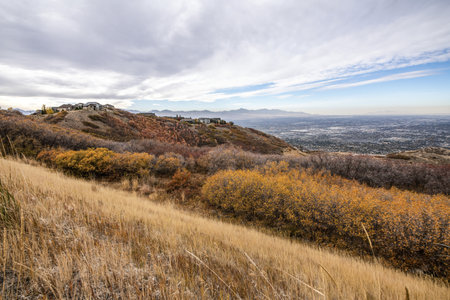 A mountainous area with dry grass and trees on background of a villageの写真素材