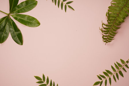 A top view of a pink surface decorated with green leaves
