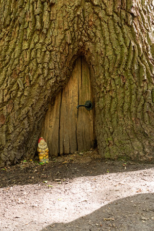 An enchanting small wooden door in a tree trunk for dwarvesの写真素材