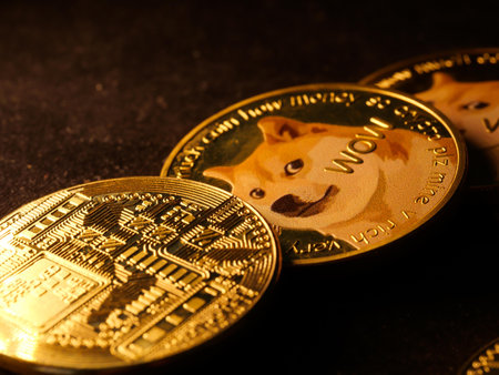 A selective focus shot of a coin with a Shiba Inu dog meme named "Doge" and a "Wow" engraving on itの写真素材