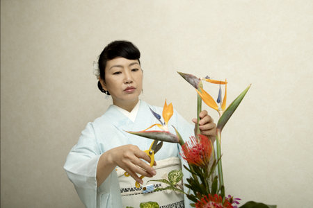 A Japanese woman wearing traditional Japanese clothes arranging flowers (Ikebana) at homeの写真素材