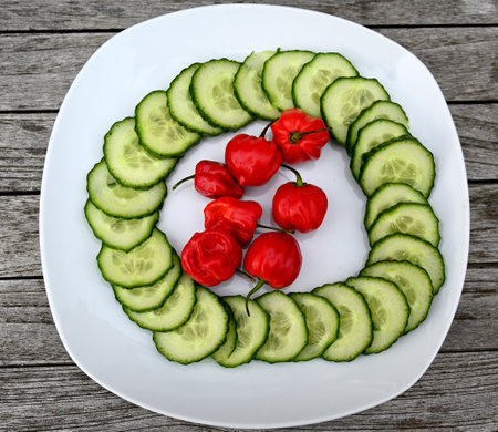 Vegan food on a white pateの写真素材