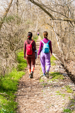 A vertical shot of female hikers trekking along a narrow path lined with bare treesの写真素材