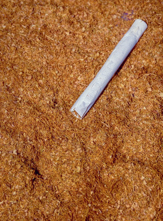 A closeup shot of a rolled cigarette against the pile of tobaccoの写真素材