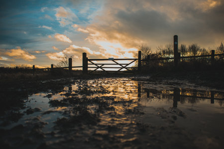 A puddle in a rural field during sunsetの写真素材