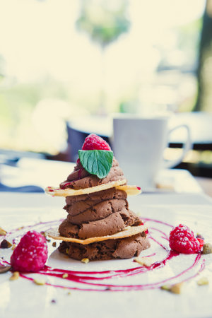 The closeup of chocolate mousse with berries and cookiesの写真素材