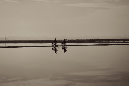 A closeup shot of people riding bicycles on the shore and reflected in the waterの写真素材