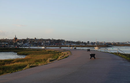 A closeup shot of a way to the waterfront at Burnham-on-Crouch in Englandの写真素材