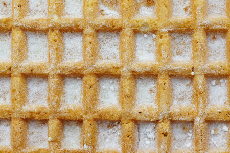 An overhead shot of a sugar waffle with sugar powderの写真素材