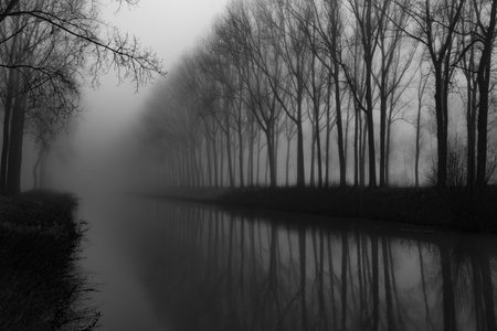 A grayscale shot of a calm peaceful river lined with trees on a foggy dayの写真素材