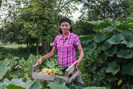 rural woman with the harvest of vegetables from the organic garden in a wooden crateの写真素材