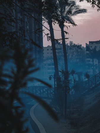 A scenic view of a foggy park near high-rise building at duskの写真素材
