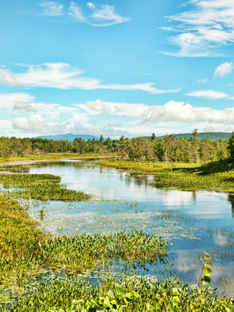The Adirondack State Park off Route 8 near Oxbow Lakeの写真素材