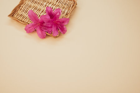 Beautiful pink lilies on a straw texture isolated on a beige backgroundの写真素材