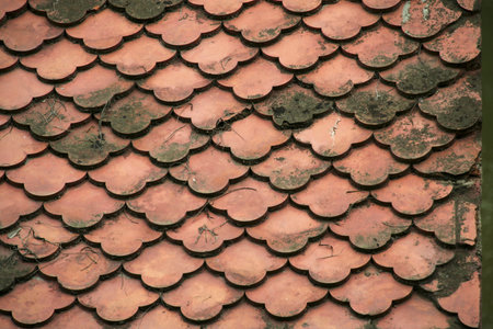 A beautiful geometric pattern of red roofing tiles