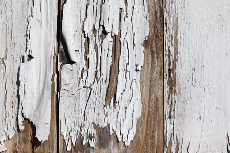 A closeup shot of a chipped wooden surfaceの写真素材