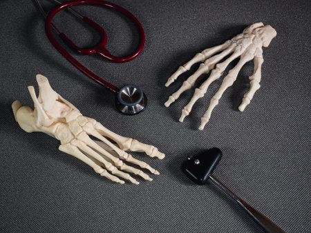 A high angle shot of skeleton bones on a gray surfaceの写真素材