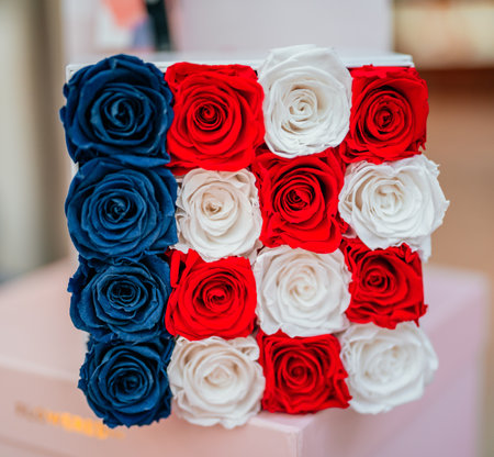 A closeup shot of colorful rosesの写真素材