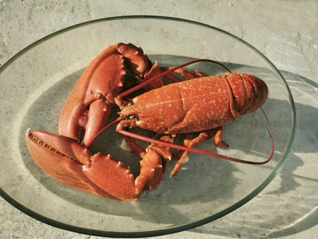 The closeup of cooked french lobster