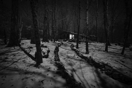 A grayscale of a wooden house on the snowy hill surrounded by trees in the forestの写真素材
