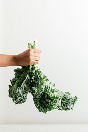 A closeup shot of a hand holding fresh green curly kale leaves on a white backgroundの写真素材