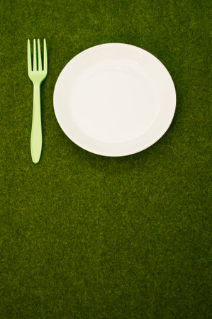 A vertical shot of a white plate with a plastic green fork on the grass with a copy spaceの写真素材