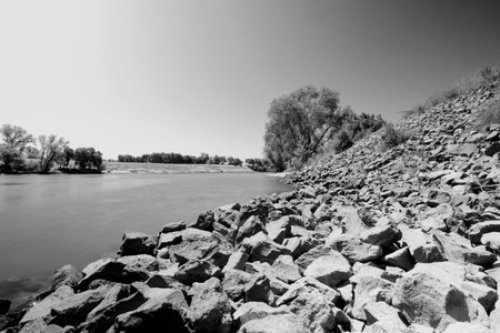 A grayscale shot of rocks on the riverside surrounded by treesの写真素材