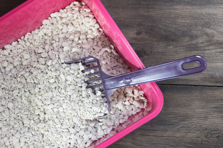 plastic litter box for domestic cats hygiene, with scoopの写真素材