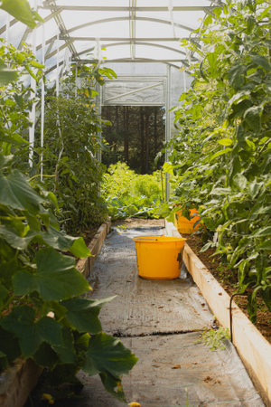 A vertical shot of plants and trees growing in a greenhouse