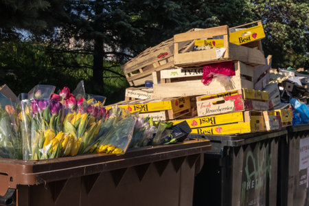 Some bouquets of tulips thrown in the trashの写真素材