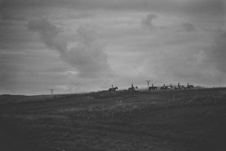 Group of people riding horses on a hill.の写真素材