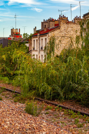 A vertical shot of wild plants near stone buildings on a sunny dayの写真素材