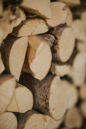 A vertical shot of a stack of tree trunksの写真素材