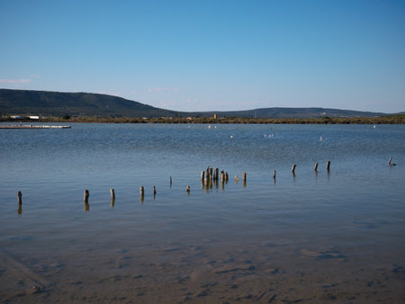 A beautiful view of a calm lake under a blue sky in southern Franceの写真素材