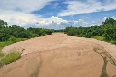 Dry river in South Luangwa national park in Zambia. Beauty in natureの写真素材