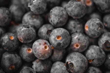 Blueberries in coconut bowl. Bowl of fruit good food. Blue food.の写真素材