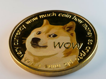 A closeup shot of golden dogecoin isolated on white backgroundの写真素材